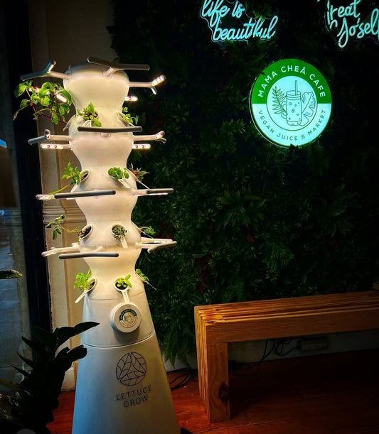 From Seed to Superfood: How Indoor Farming at Forage Earth and Ocean Elevates Every Batch We Make 🌱🌊