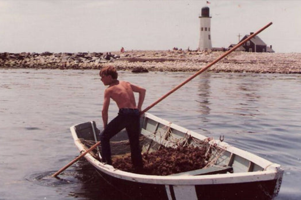 HISTORY OF IRISH SEAMOSS