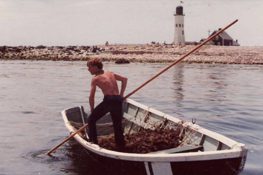 HISTORY OF IRISH SEAMOSS