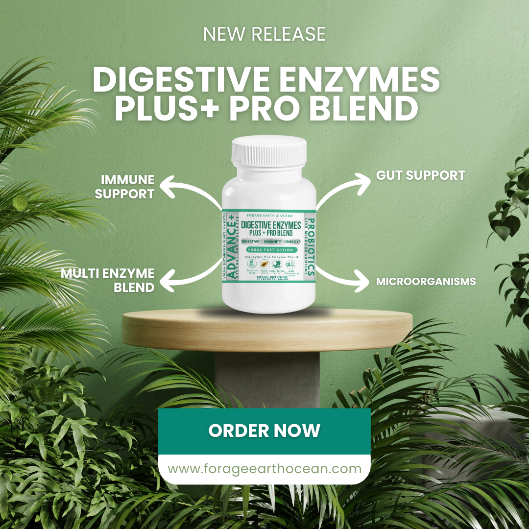 GUT DIGESTIVE ENZYMES PLUS + PRO BLEND (GUT SUPPORT*) Free of Top 8 Allergens, Gluten-free, Made in the USA, Non-GMO, Vegan Friendly, Vegetarian