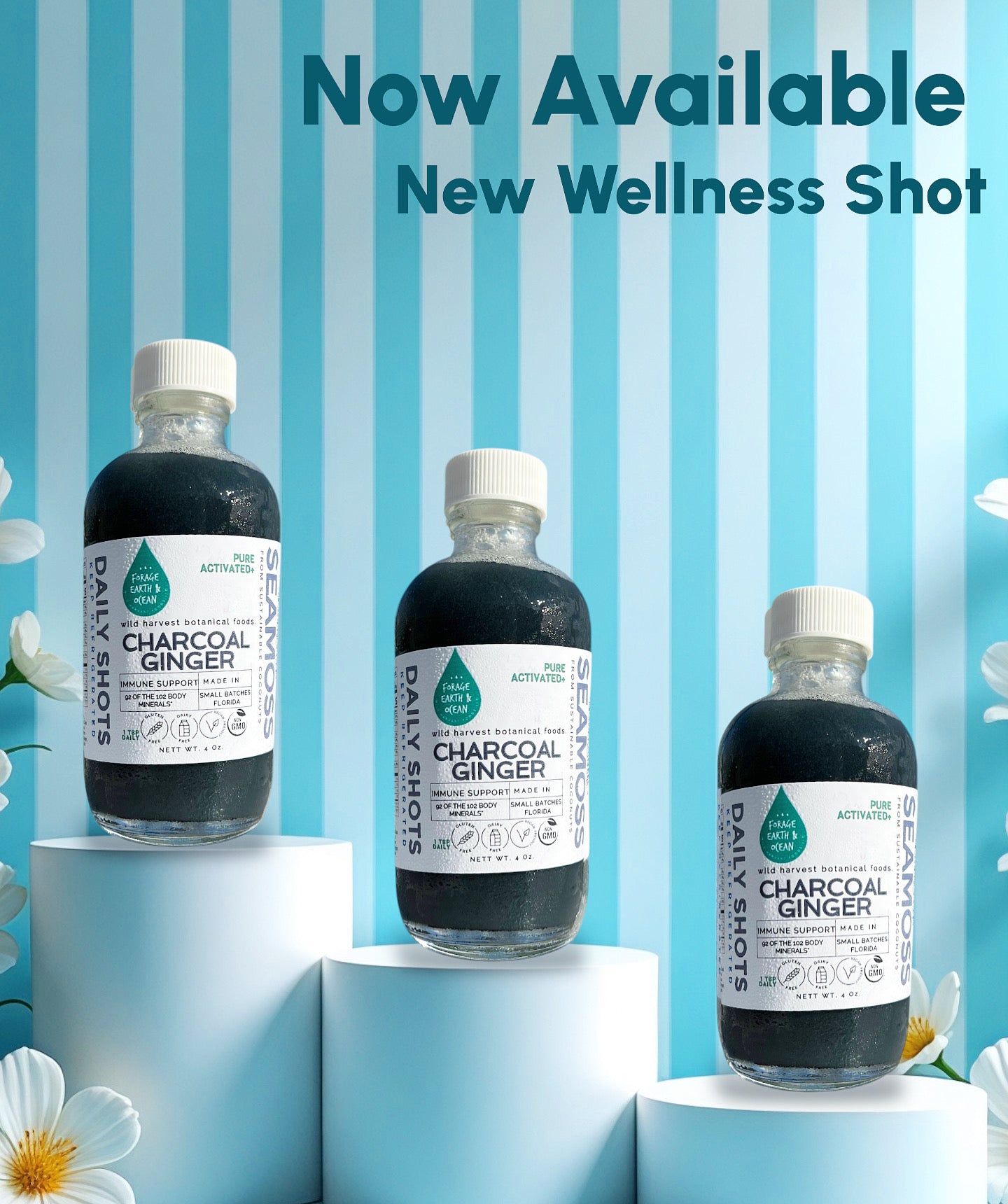 Activated Charcoal Ginger Seamoss Daily Shot 4 oz