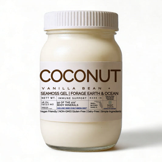 Coconut Vanilla Bean Sea Moss Gel – Organic, Wild-Harvested Superfood (St. Lucia · 92 Minerals · 16 oz)