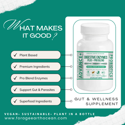 DIGESTIVE ENZYMES PLUS + PRO BLEND (GUT SUPPORT*)