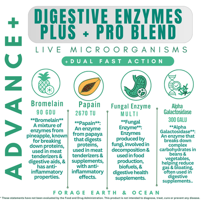 DIGESTIVE ENZYMES PLUS + PRO BLEND (GUT SUPPORT*)