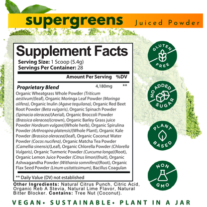 Daily 100% Plant Based Daily SuperGreen Powder